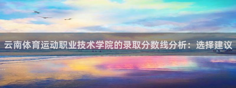 杏宇3代理