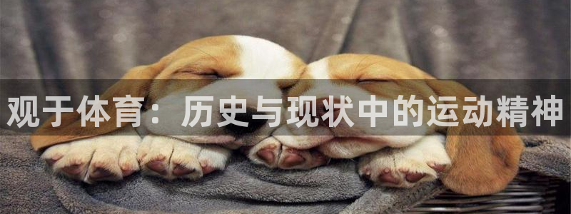 杏宇平台注册