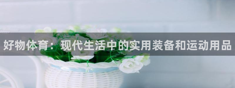汾阳市杏宇酒业有限公司