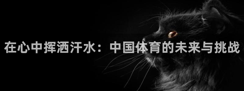 成都杏宇电子有限公司