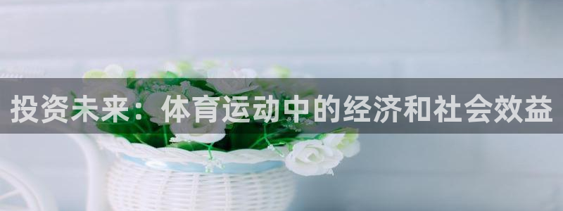 杏宇2平台注册