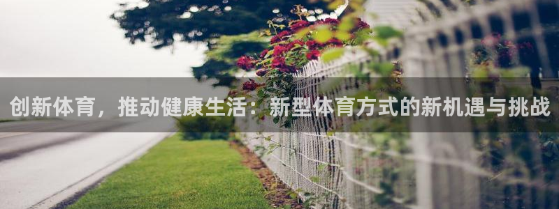 杏宇体育f开号