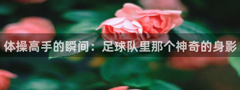 杏宇官网