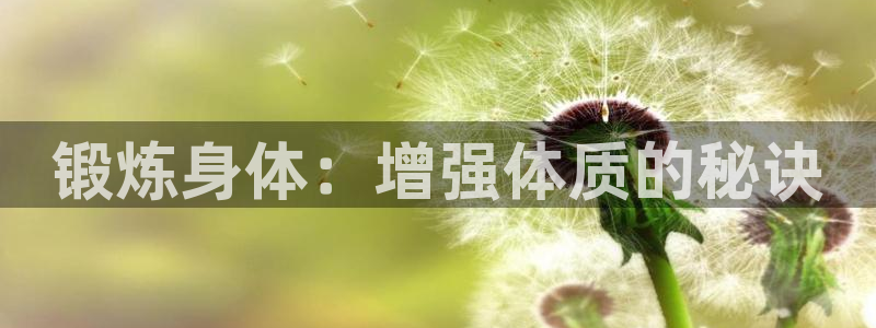 杏宇体育