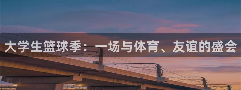 杏宇体育注册代理
