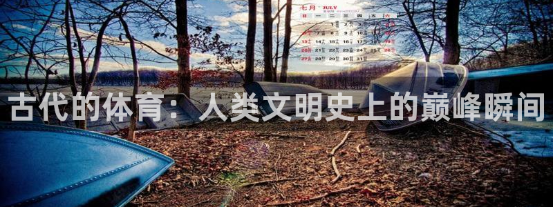 杏宇2登录入口