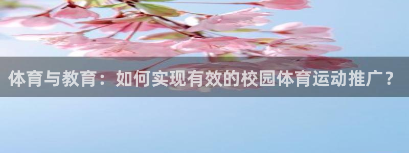 杏宇包怎么样