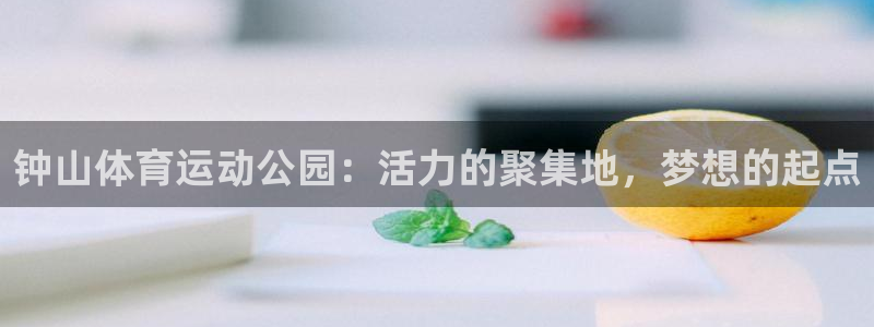 杏宇注册平台登录网址