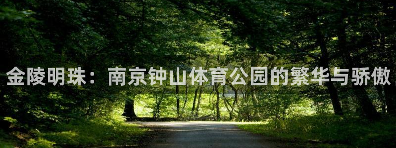 杏宇2平台注册