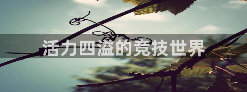 杏宇体育热门赛事有哪些