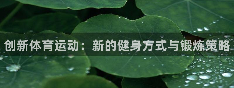 杏宇娱乐