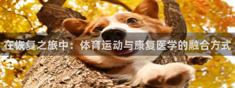 杏宇体育凯捷平台注册