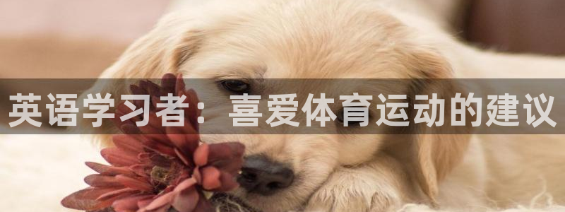 杏宇登录