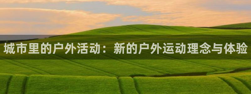 杏宇4代理