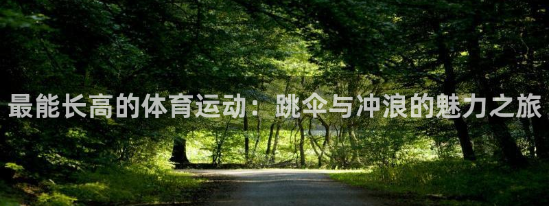 杏宇包怎么样