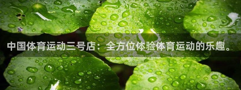 杏宇体育游戏