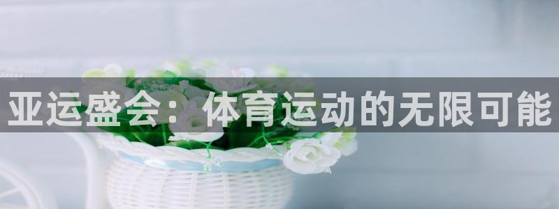 杏宇体育注册登录入口