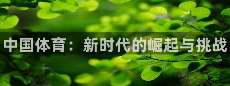 杏宇体育app下载