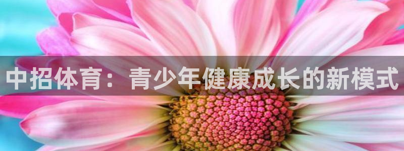杏宇4官网