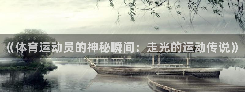 杏宇体育3