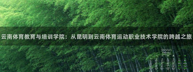杏宇平台主管