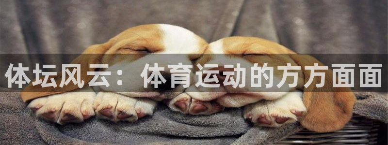 杏宇f凯捷平台在线注册