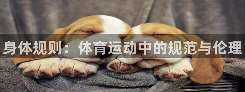 杏宇体育凯捷代理注册