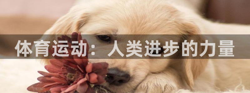杏宇平台官网登录入口