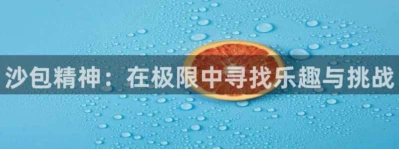 杏宇登录