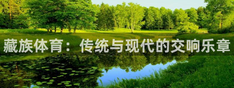 杏宇官网注册