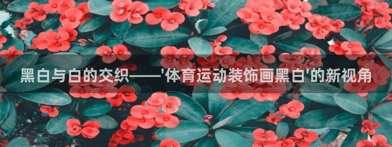 杏宇体育3