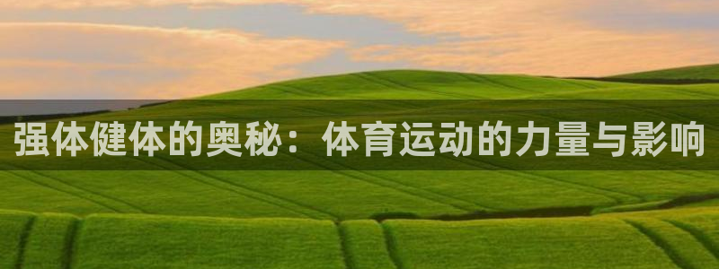 杏宇4登录