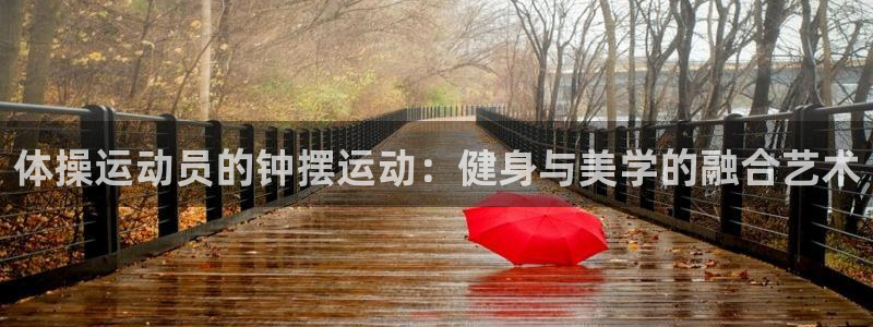 杏宇2登录