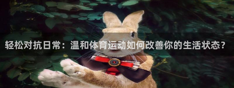 杏宇3登录
