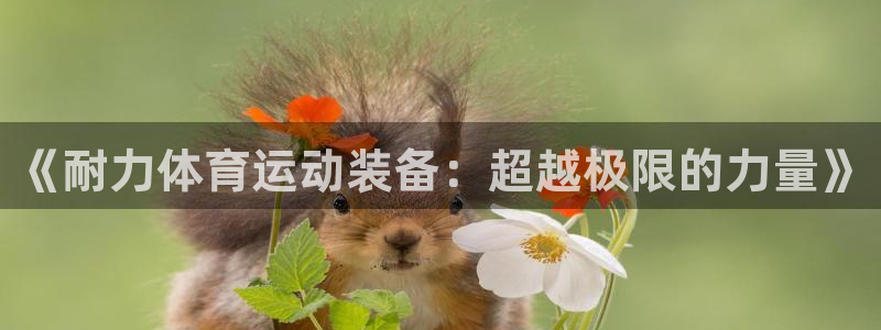 杏宇体育平台总代理