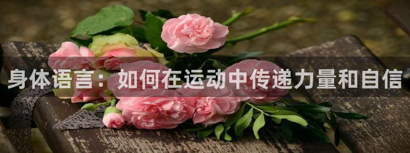杏宇体育和杏耀是哪个公司的