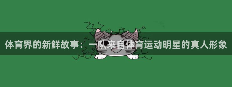杏宇凯捷注册