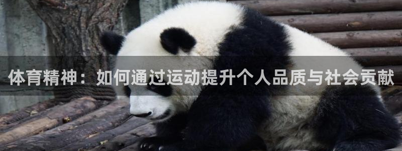 杏宇体育