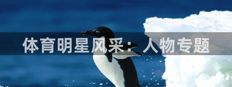 杏宇能源