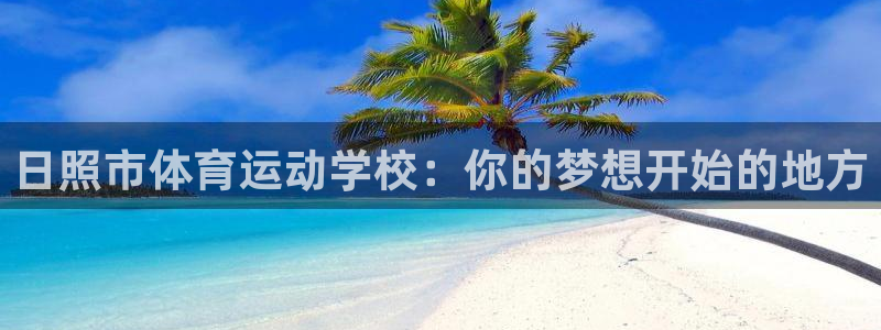 杏宇4登录